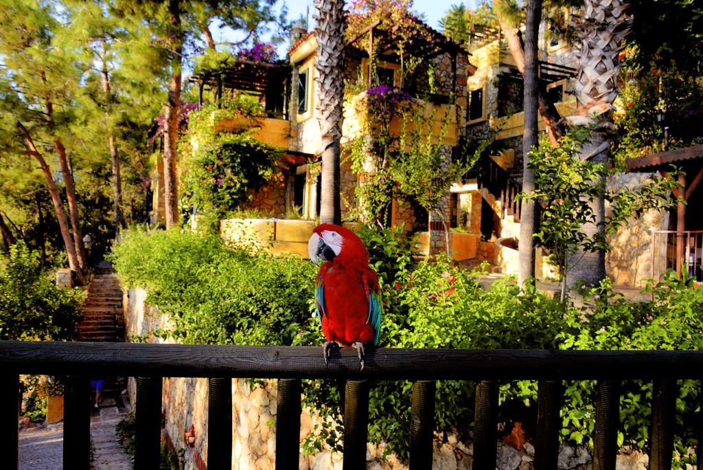 Symbola Oludeniz Beach Hotel Exterior photo